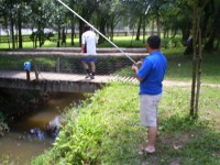 /album/galeria-de-fotos/fotos-recentes-022-jpg/